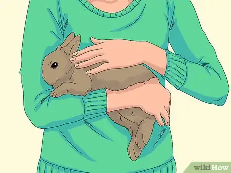 Imagem intitulada Pick up a Rabbit Step 9