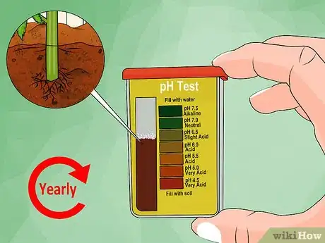 Imagem intitulada Acidify Soil Step 13