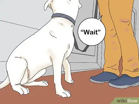 Imagem intitulada Train a Dog Step 59