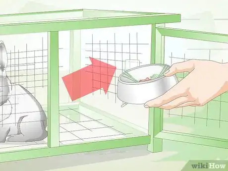 Imagem intitulada Clean a Rabbit Cage Step 1