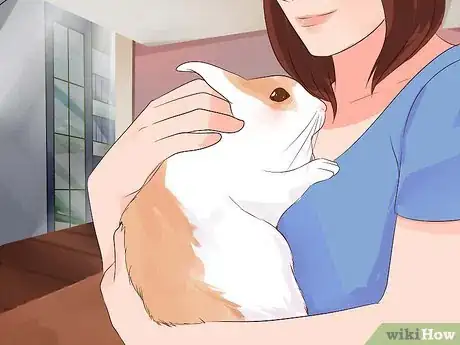 Imagem intitulada Transport a Rabbit Step 8