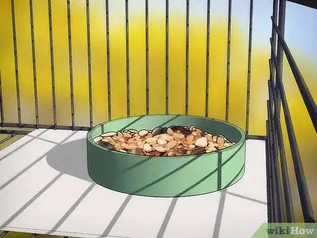 Imagem intitulada Breed Cockatiels Step 6