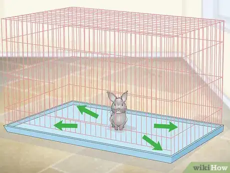 Imagem intitulada Prepare a Rabbit Cage Step 1