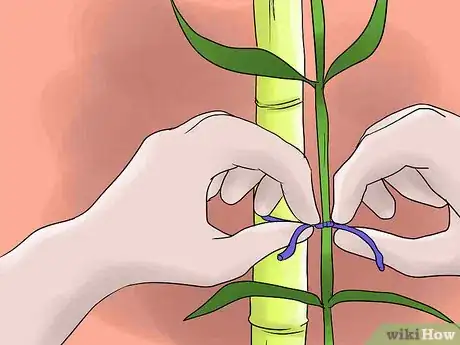 Imagem intitulada Help Carnations Make a Comeback Step 9