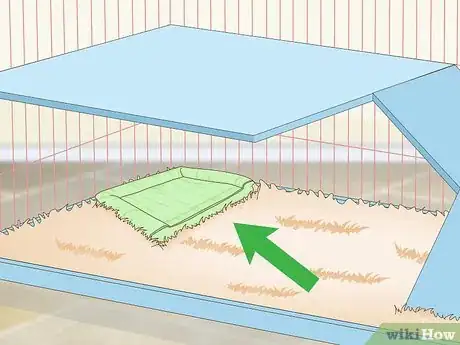 Imagem intitulada Prepare a Rabbit Cage Step 8