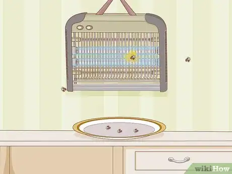 Imagem intitulada Get Rid of Flies Step 5