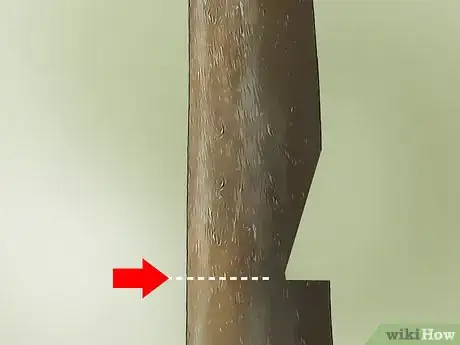 Imagem intitulada Remove a Tree Step 6