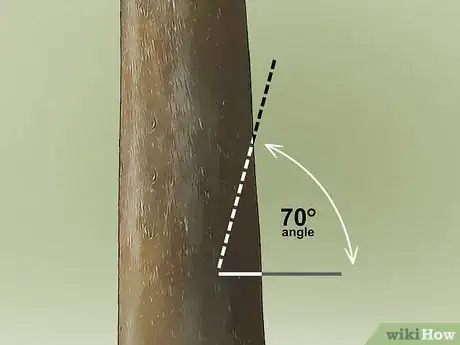 Imagem intitulada Remove a Tree Step 5