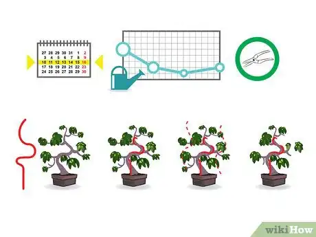 Imagem intitulada Start a Bonsai Tree Step 06