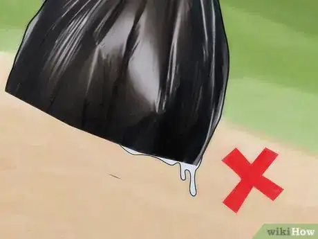Imagem intitulada Kill Maggots Step 16