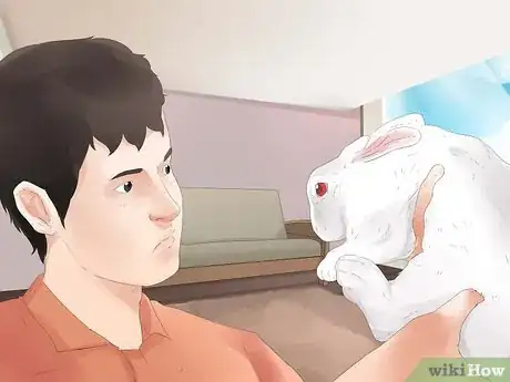 Imagem intitulada Understand Your Rabbit Step 4