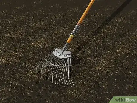 Imagem intitulada Level Ground Step 11