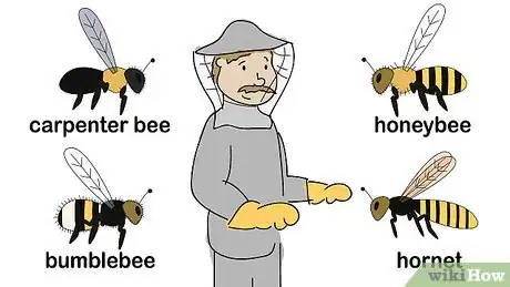 Imagem intitulada Get Rid of Bees Step 5
