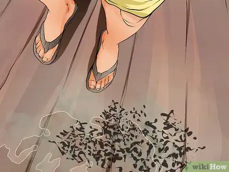 Imagem intitulada Get Rid of Bats Step 2