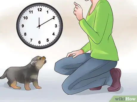 Imagem intitulada Train Your Rottweiler Puppy With Simple Commands Step 5