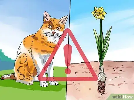 Imagem intitulada Care for an Outdoor Rabbit Step 7