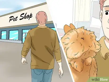 Imagem intitulada Care for Lionhead Rabbits Step 5
