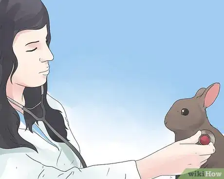 Imagem intitulada Care for Mini Lop Rabbits Step 16