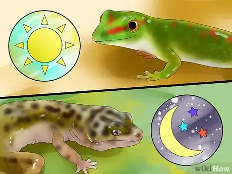 Imagem intitulada Catch a Gecko Step 1