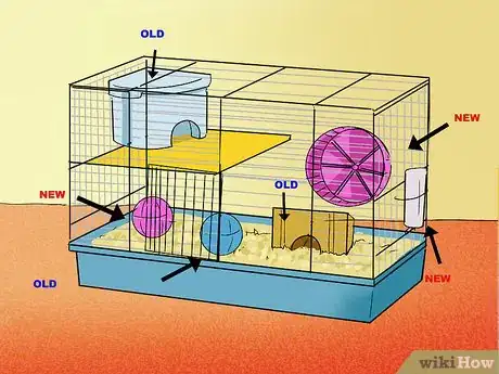Imagem intitulada Introduce Two Dwarf Hamsters Step 6
