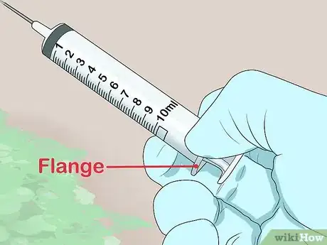 Imagem intitulada Read Syringes Step 5