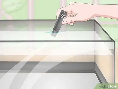Imagem intitulada Selectively Breed Betta Fish Step 7