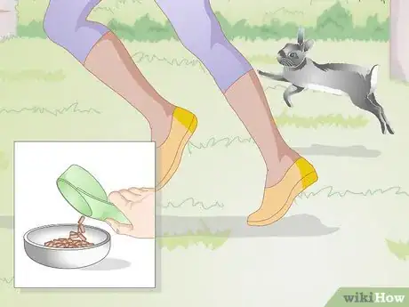 Imagem intitulada Treat Sore Hocks in Rabbits Step 11