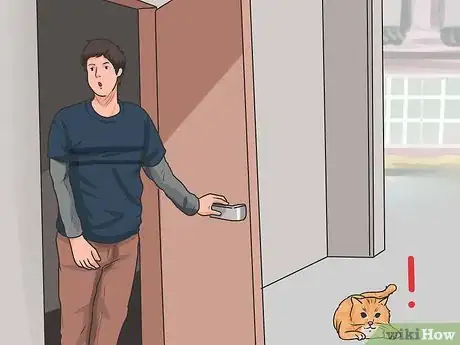 Imagem intitulada Call a Cat Step 1