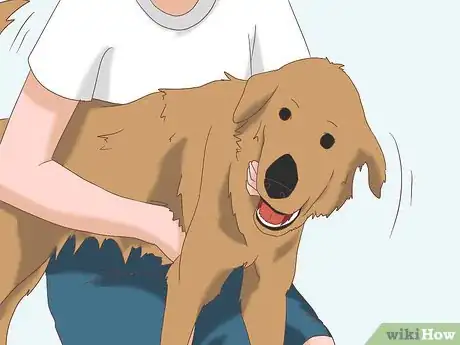 Imagem intitulada Remove Ticks from Furry Pets Step 3