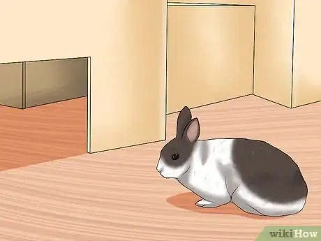Imagem intitulada Care for a House Rabbit Step 16