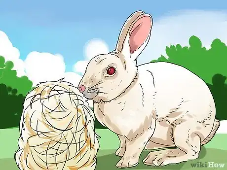 Imagem intitulada Care for an Outdoor Rabbit Step 2