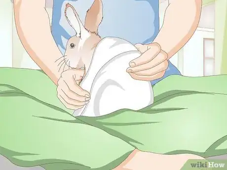 Imagem intitulada Calm a Vicious Rabbit Step 2