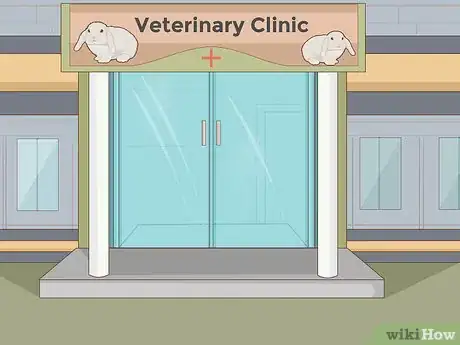 Imagem intitulada Care for Dwarf Rabbits Step 26