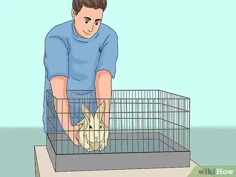 Imagem intitulada Pick up a Rabbit Step 6