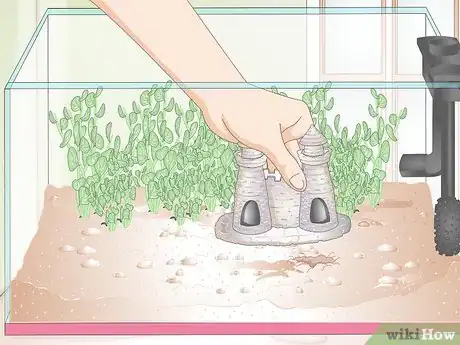 Imagem intitulada Set Up a Betta Tank Step 9