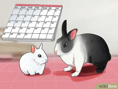 Imagem intitulada Breed Rabbits Step 4