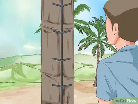Imagem intitulada Climb a Coconut Tree Step 14
