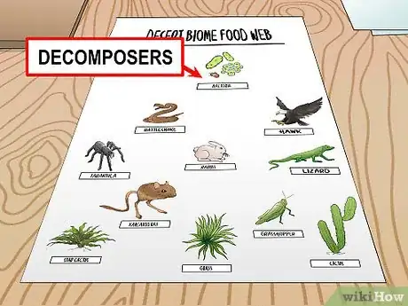 Imagem intitulada Draw a Food Web Step 10
