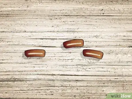 Imagem intitulada Identify a Cockroach Step 15
