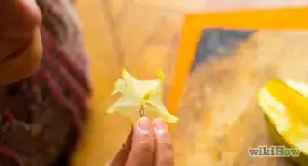 Comer Carambola