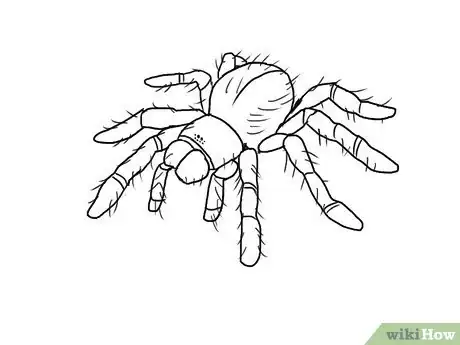 Imagem intitulada Draw a Spider Step 9