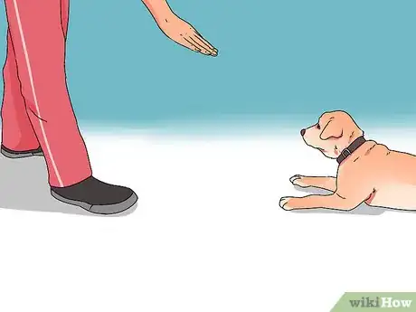 Imagem intitulada Train a Dog Step 53