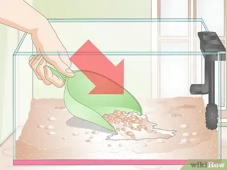 Imagem intitulada Set Up a Betta Tank Step 8