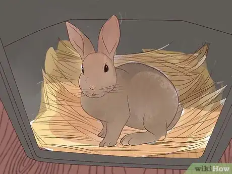 Imagem intitulada Transport a Rabbit Step 5