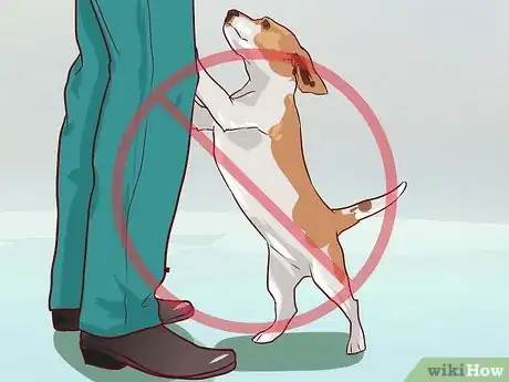 Imagem intitulada Train Beagles Step 8