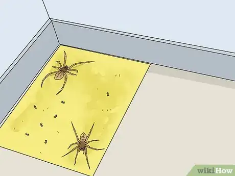 Imagem intitulada Kill Spiders from a Distance Step 4