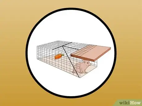 Imagem intitulada Catch a Wild Rabbit Step 22