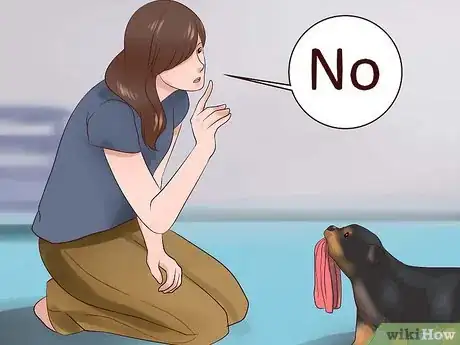 Imagem intitulada Train Your Rottweiler Puppy With Simple Commands Step 9