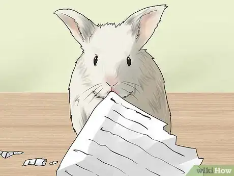 Imagem intitulada Make Homemade Rabbit Toys Step 8