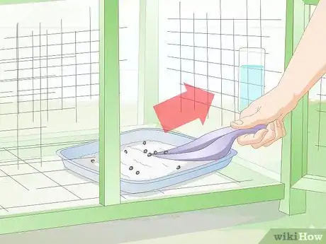 Imagem intitulada Clean a Rabbit Cage Step 3